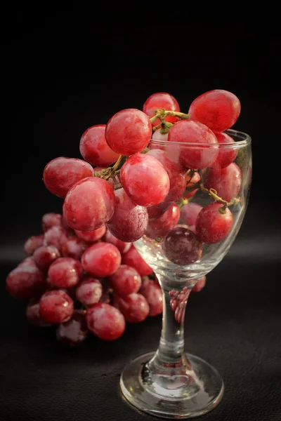 Uvas frescas en copa de vino — Foto de Stock