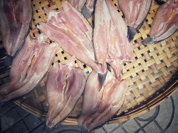 Peixes secos — Fotografia de Stock