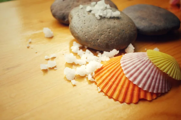 带贝壳的石头和盐的水疗套装 — 图库照片
