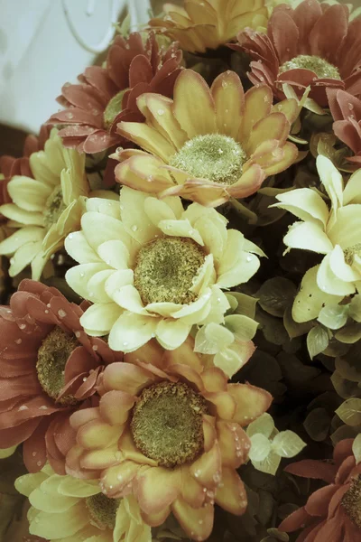 Урожай хризантема квіти — стокове фото