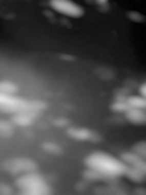 Duvardaki yumuşak yaprak gölgesi