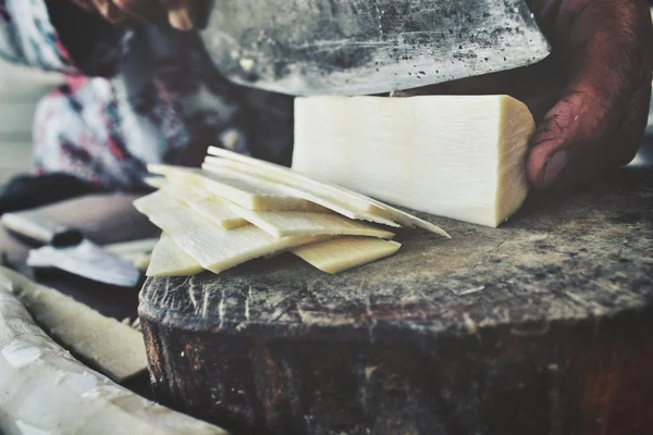 Bambu sürgün — Stok fotoğraf