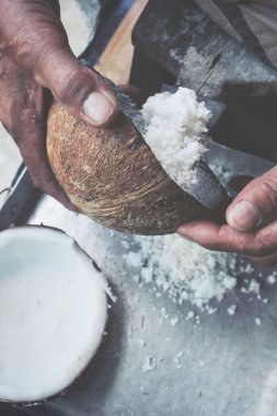 Elleri ile Hindistan cevizi