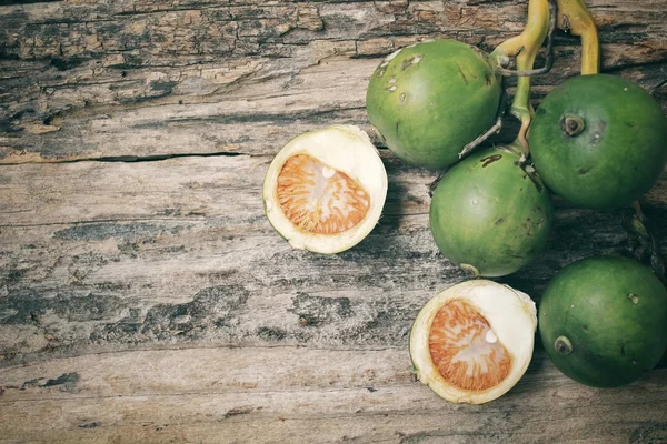 Palma di betel — Foto Stock