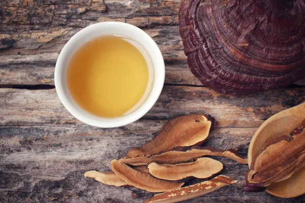 Ganoderma lucidum te - Ling zhi svamp. — Stockfoto