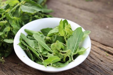 Köy tahtasında taze fesleğen yaprakları