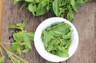 Köy tahtasında taze fesleğen yaprakları