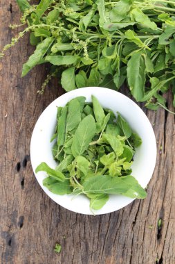 Köy tahtasında taze fesleğen yaprakları