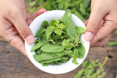 Köy tahtasında taze fesleğen yaprakları