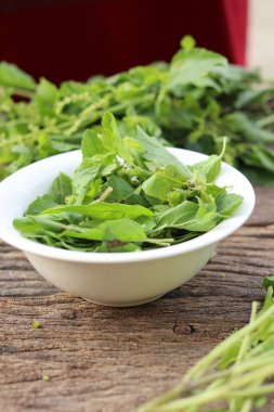 Köy tahtasında taze fesleğen yaprakları