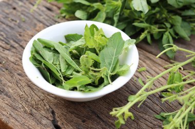 Köy tahtasında taze fesleğen yaprakları