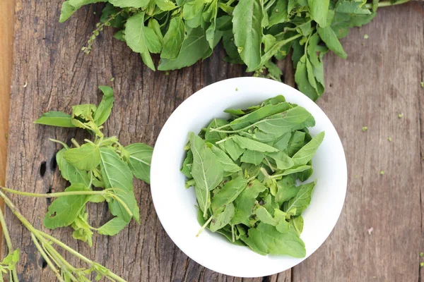 Köy tahtasında taze fesleğen yaprakları