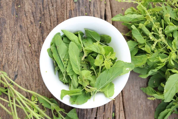 Köy tahtasında taze fesleğen yaprakları