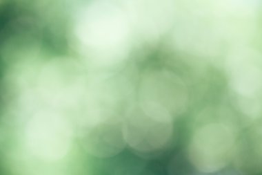 Vintage yeşil bokeh