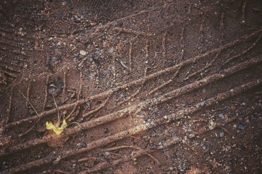Topraktaki tekerlek izleri.