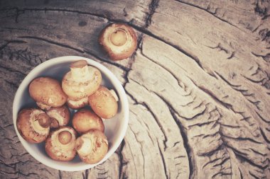 champignon mantarları