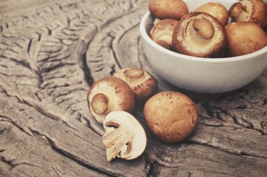 champignon mantarları