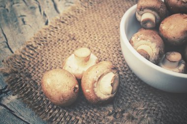 champignon mantarları