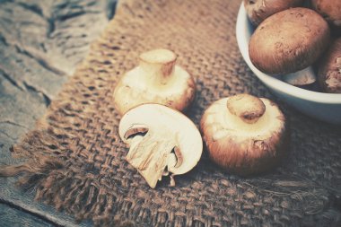 champignon mantarları