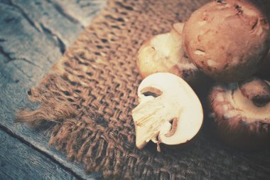 champignon mantarları