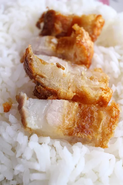Daging babi goreng dengan nasi — Stok Foto