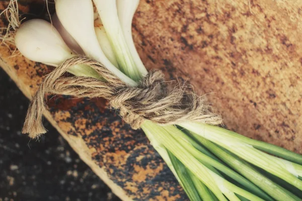 Green onion — Stock Photo, Image