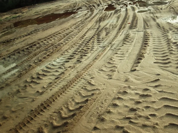 Wielsporen op de grond. — Stockfoto