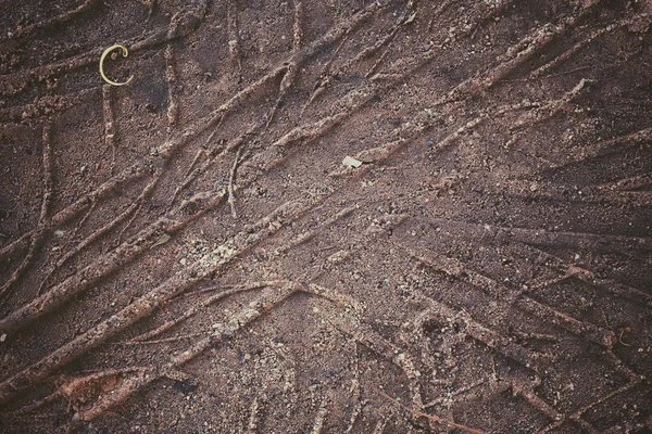 Wheel tracks on the soil. — Stock Photo, Image