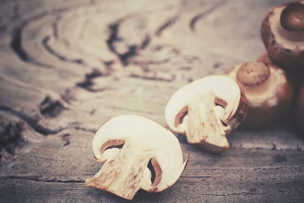 Champignon paddestoelen — Stockfoto