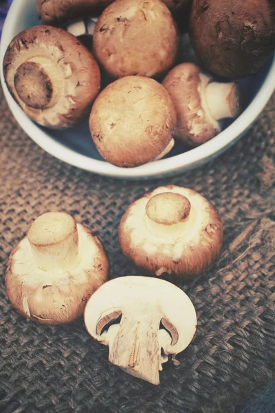 Champignon mushrooms — Stock Photo, Image