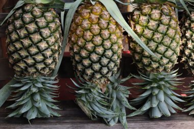 Taze ananas ve yeşil yapraklar