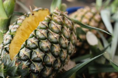 Taze kesilmiş ananas sulu sarı eti gösteriyor