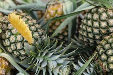 Taze kesilmiş ananas sulu sarı eti gösteriyor
