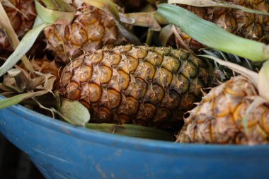 Taze ananas ve yeşil yapraklar