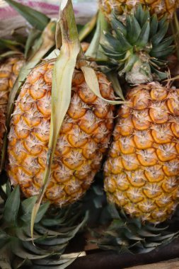 Taze ananas ve yeşil yapraklar