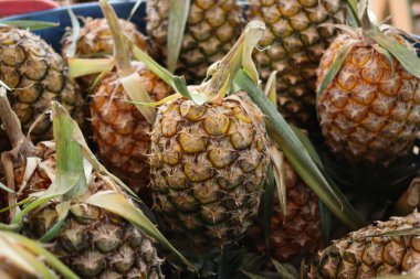 Taze ananas ve yeşil yapraklar