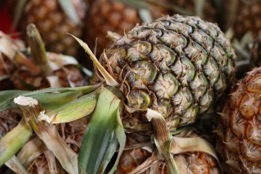 Taze ananas ve yeşil yapraklar