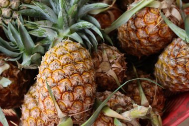 Taze ananas ve yeşil yapraklar
