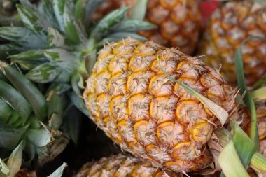 Taze ananas ve yeşil yapraklar