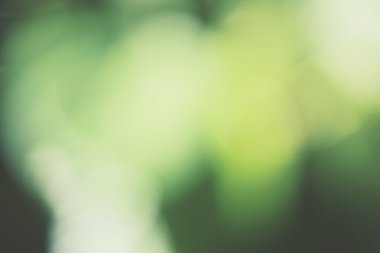 Vintage yeşil bokeh