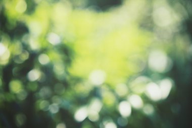 Vintage yeşil bokeh