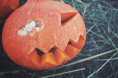 Cadılar Bayramı Balkabağı