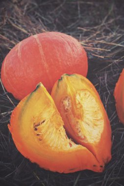 Kurutulmuş çim üzerinde taze kabak