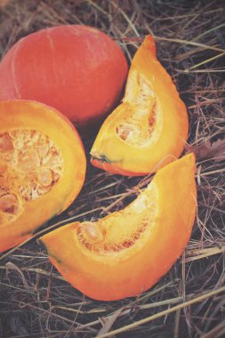 Kurutulmuş çim üzerinde taze kabak