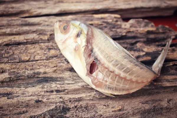 Hueso de pescado —  Fotos de Stock