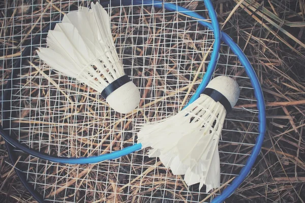 Transbordadores con raqueta de bádminton . —  Fotos de Stock