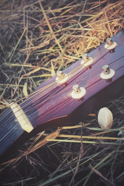 Gitarre auf getrocknetem Gras — Stockfoto