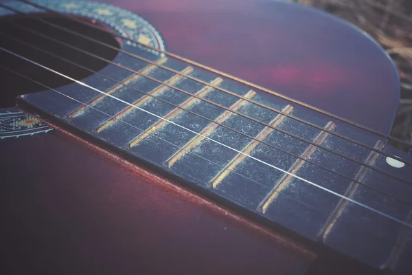 Gitarre auf getrocknetem Gras — Stockfoto
