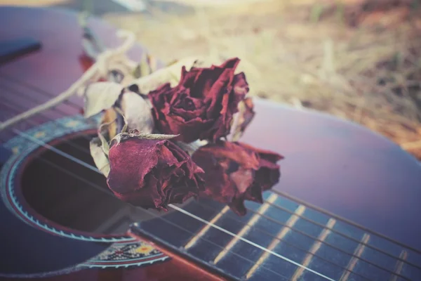 Gitarr med torkad ros — Stockfoto