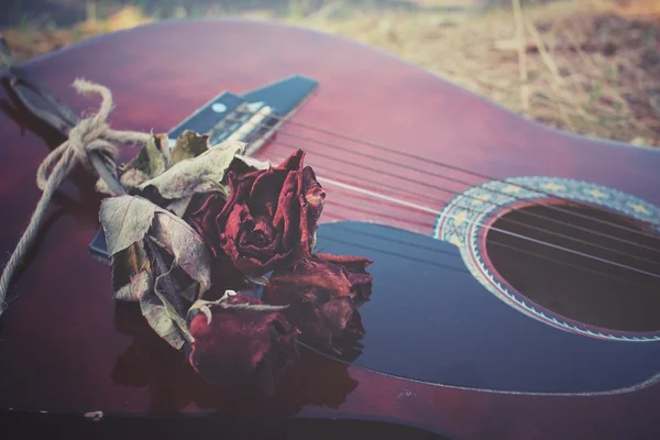 Гітара з сушеною трояндою — стокове фото